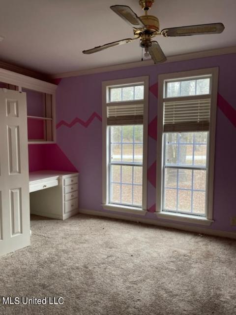 4302 Pine Lake Dr, Terry, MS 39170 photo 9