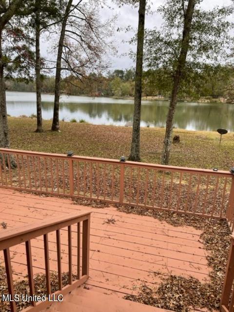 4302 Pine Lake Dr, Terry, MS 39170 photo 5