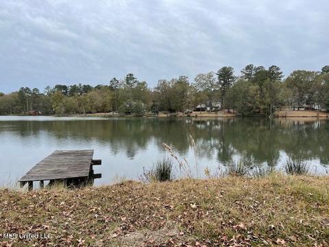 4302 Pine Lake Dr, Terry, MS 39170 photo 3