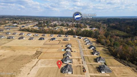8108 Briscoe Dr, Olive Branch, MS 38654 photo 40