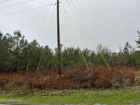 147 Mannings Crossing Rd, Jayess, MS 39641 photo 1