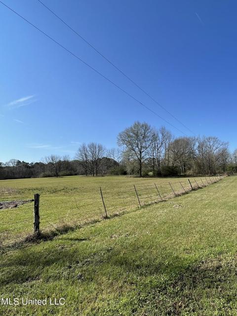 7847 Old Jackson Road Rd, Forest, MS 39074 photo 44