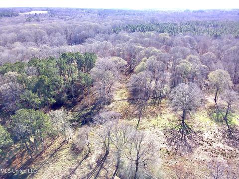 7847 Old Jackson Road Rd, Forest, MS 39074 photo 46