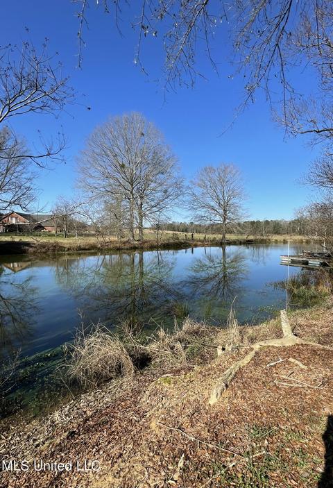7847 Old Jackson Road Rd, Forest, MS 39074 photo 38