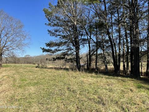 7847 Old Jackson Road Rd, Forest, MS 39074 photo 41