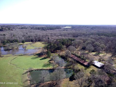 7847 Old Jackson Road Rd, Forest, MS 39074 photo 52