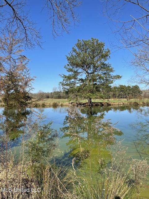 7847 Old Jackson Road Rd, Forest, MS 39074 photo 42