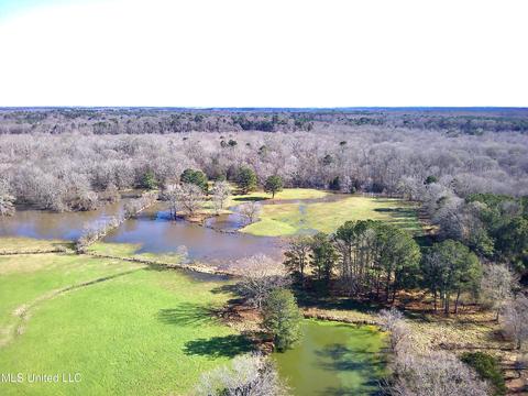 7847 Old Jackson Road Rd, Forest, MS 39074 photo 49