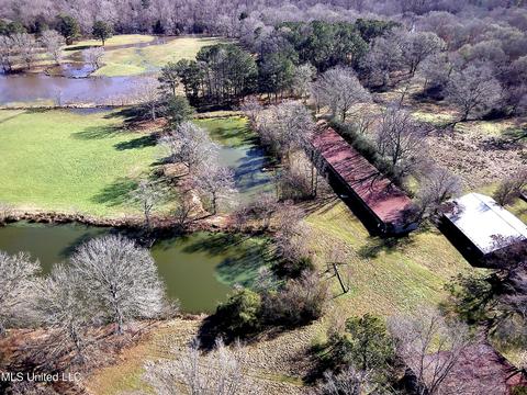 7847 Old Jackson Road Rd, Forest, MS 39074 photo 51