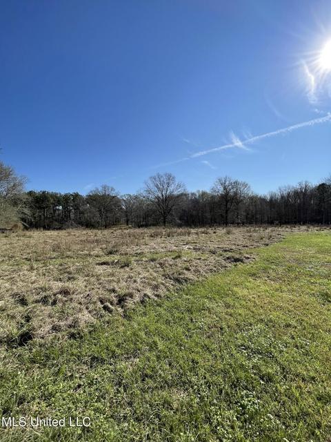 7847 Old Jackson Road Rd, Forest, MS 39074 photo 36