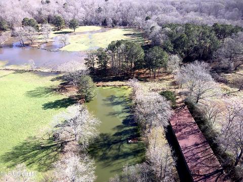 7847 Old Jackson Road Rd, Forest, MS 39074 photo 50