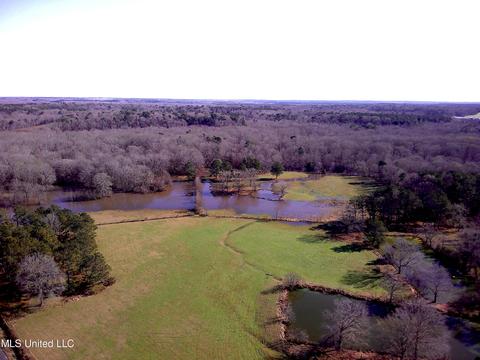 7847 Old Jackson Road Rd, Forest, MS 39074 photo 53