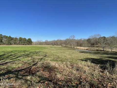 7847 Old Jackson Road Rd, Forest, MS 39074 photo 39