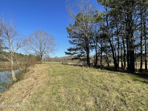 7847 Old Jackson Road Rd, Forest, MS 39074 photo 40
