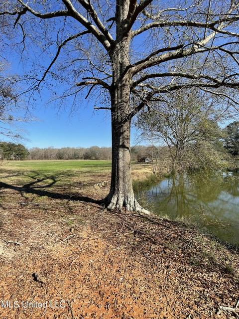 7847 Old Jackson Road Rd, Forest, MS 39074 photo 37