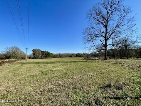 7847 Old Jackson Road Rd, Forest, MS 39074 photo 45