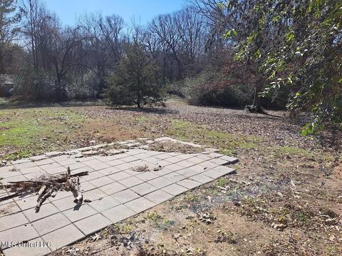 2774 Bett Rd, Coldwater, MS 38618 photo 18