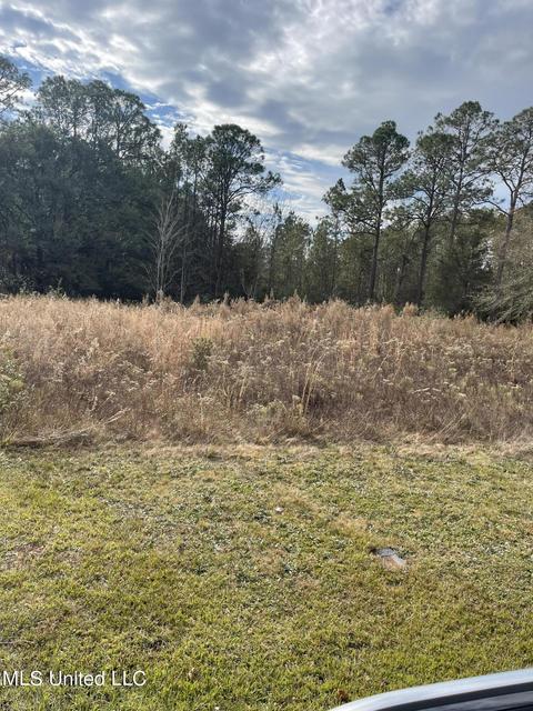 2013 Dailey Rd, Gautier, MS 39553 photo 4