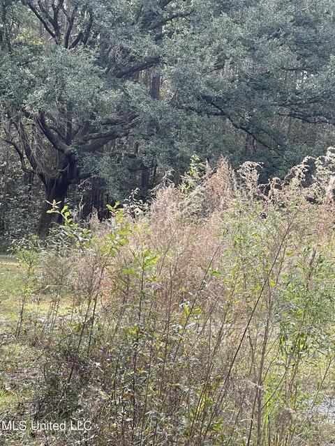 2013 Dailey Rd, Gautier, MS 39553 photo 3