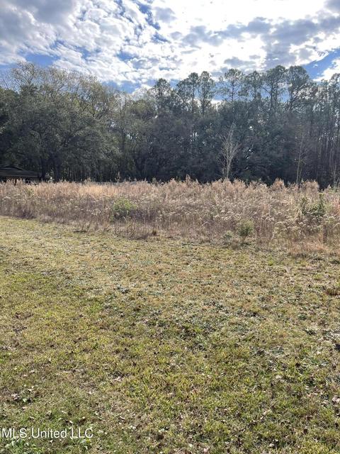 2013 Dailey Rd, Gautier, MS 39553 photo 1