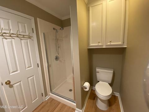412 Treles Dr, Madison, MS 39110 photo 15