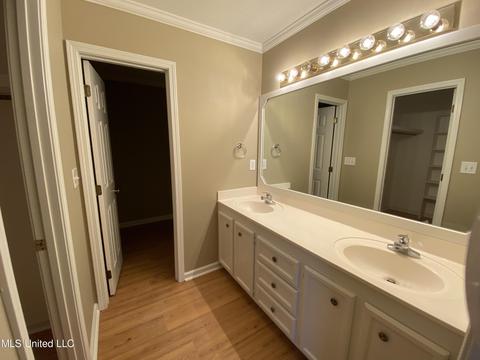 412 Treles Dr, Madison, MS 39110 photo 13