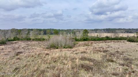 0003 Nola Rd NE, Brookhaven, MS 39601 photo 17