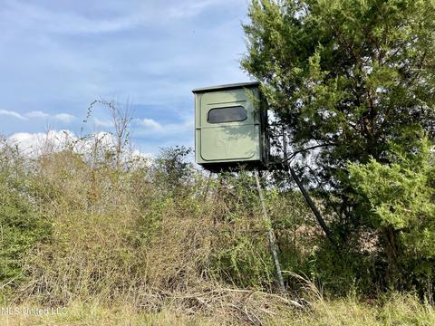 0003 Nola Rd NE, Brookhaven, MS 39601 photo 16