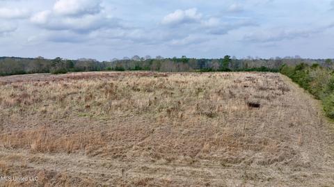 0003 Nola Rd NE, Brookhaven, MS 39601 photo 25