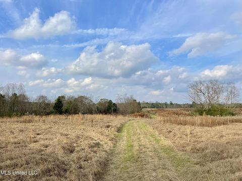 0003 Nola Rd NE, Brookhaven, MS 39601 photo 6