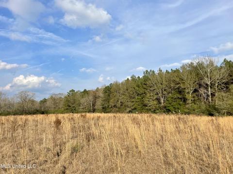 0003 Nola Rd NE, Brookhaven, MS 39601 photo 18
