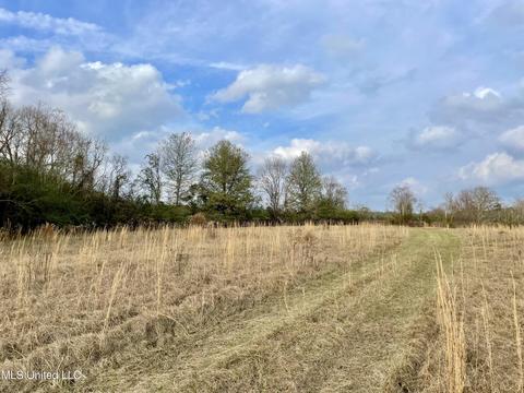 0003 Nola Rd NE, Brookhaven, MS 39601 photo 10