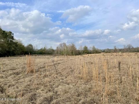 0003 Nola Rd NE, Brookhaven, MS 39601 photo 2