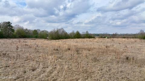 0003 Nola Rd NE, Brookhaven, MS 39601 photo 32