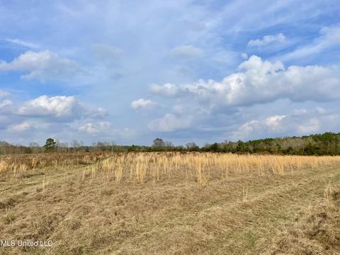 0003 Nola Rd NE, Brookhaven, MS 39601 photo 8