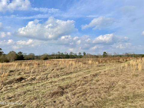 0003 Nola Rd NE, Brookhaven, MS 39601 photo 13
