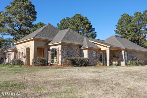 100 Cedar Green Cv, Canton, MS 39046 photo 1