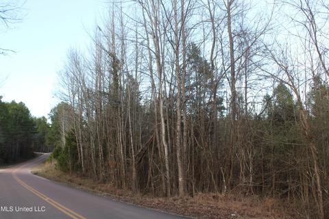 45 County Road 253, Etta, MS 38627 photo 3