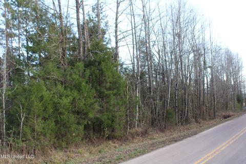 45 County Road 253, Etta, MS 38627 photo 1