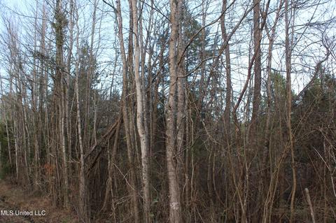 45 County Road 253, Etta, MS 38627 photo 5