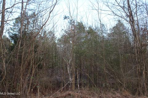 45 County Road 253, Etta, MS 38627 photo 2