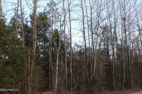 45 County Road 253, Etta, MS 38627 photo 4