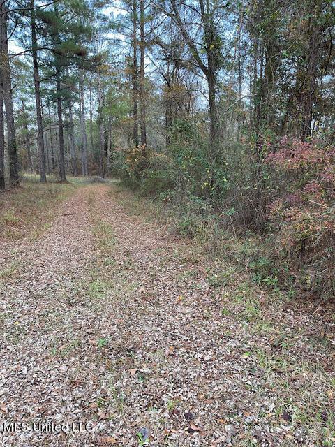 5990 Tank Rd, Terry, MS 39170 photo 10