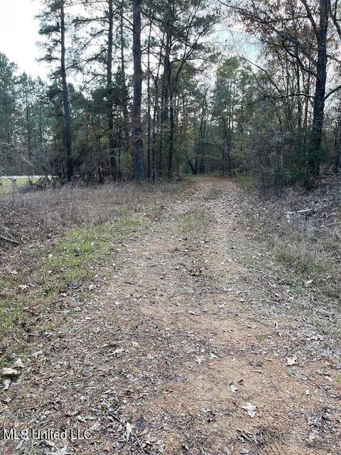5990 Tank Rd, Terry, MS 39170 photo 9