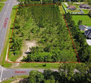 1 25 Acres Tucker Deneen Rd, Vancleave, MS 39565