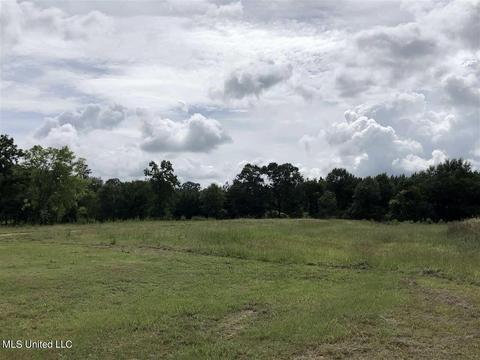 1605 Scr 68, Mize, MS 39116 photo 9