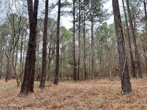 Spring Creek Rd, Flora, MS 39071 photo 4