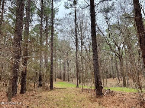 Spring Creek Rd, Flora, MS 39071 photo 7