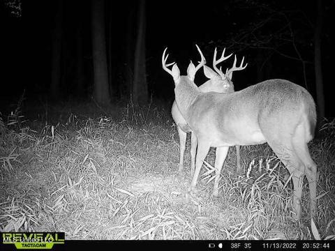 Spring Creek Rd, Flora, MS 39071 photo 9