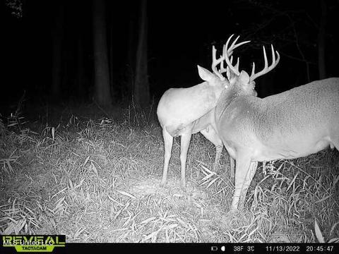 Spring Creek Rd, Flora, MS 39071 photo 10